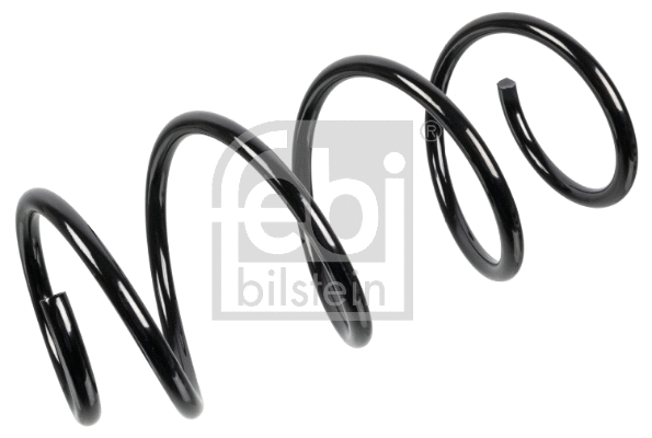 Suspension Spring (174679)