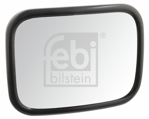 Wide-Angle Mirror (49995)