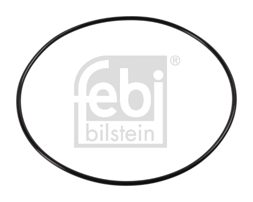 Shaft Seal, wheel bearing (174007)