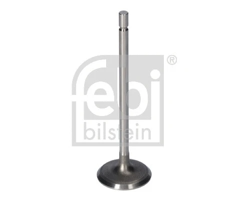 Intake Valve (181077)