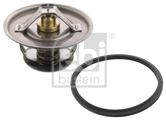 Thermostat, coolant (31983)