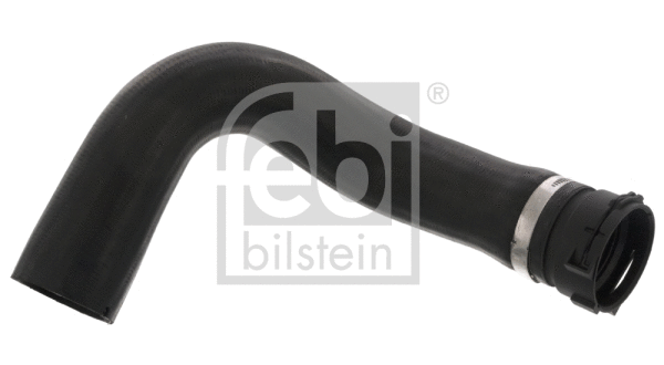 Radiator Hose (46571)