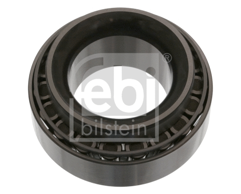 Wheel Bearing (48391)