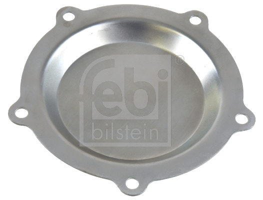 Protection Lid, wheel hub (172931)