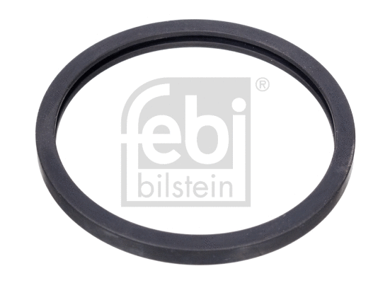 Seal, thermostat (05125)