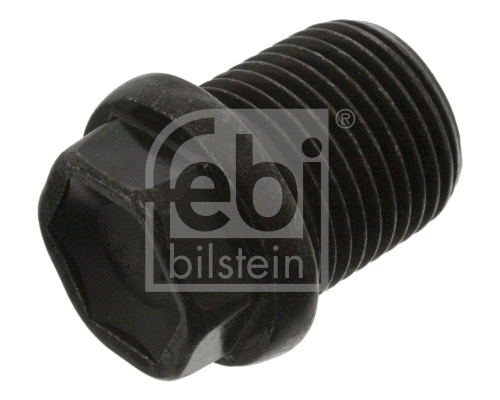 Screw Plug, oil sump (48875)