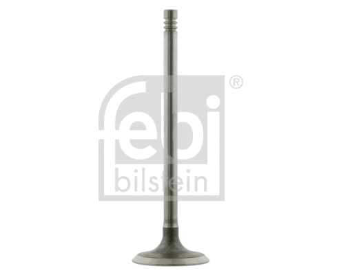 Intake Valve (24160)