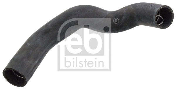 Radiator Hose (12995)