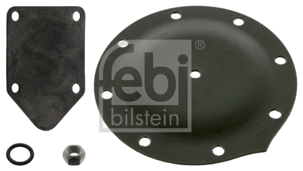 Membrane, vacuum pump (05480)
