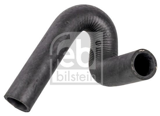 Radiator Hose (172835)