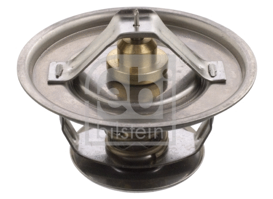 Thermostat, coolant (18798)