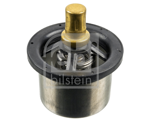 Thermostat, coolant (173716)