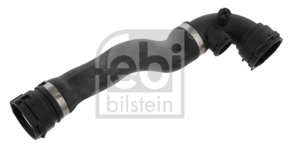 Radiator Hose (32599)