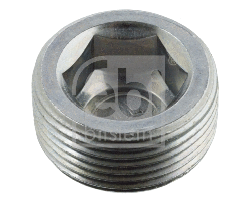 Screw Plug, axle drive (04516)
