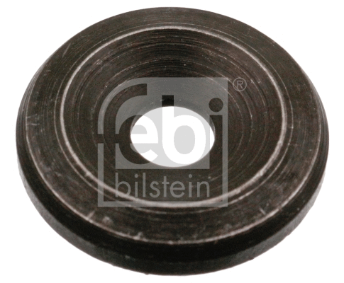 Seal Ring, injector (15924)