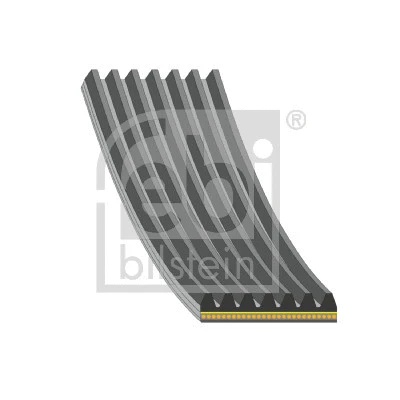 V-Ribbed Belt (181285)