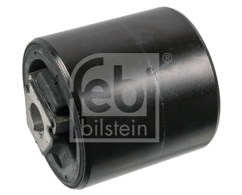 Mounting, control/trailing arm