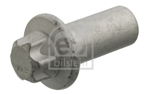 Nut (21395)