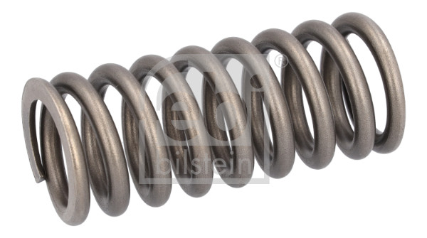 Valve Spring (186613)
