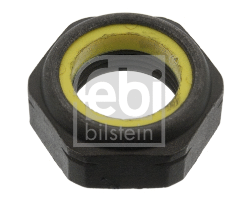 Nut, stub axle (06243)