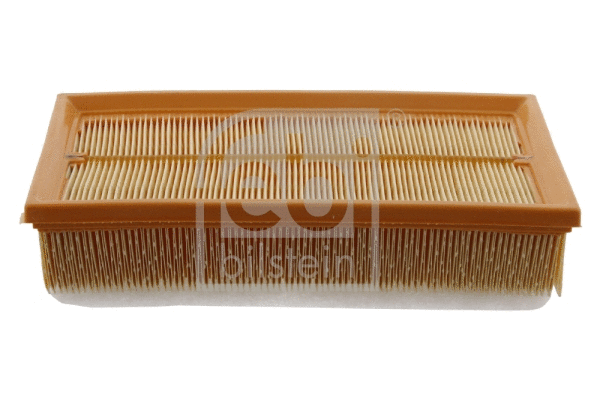 Air Filter (31262)