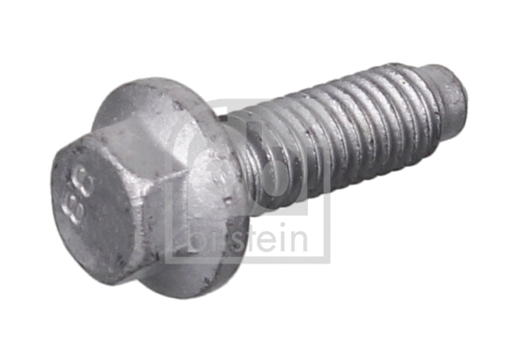 Screw (100184)