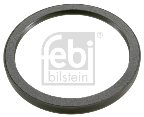 Shaft Seal, crankshaft (21253)