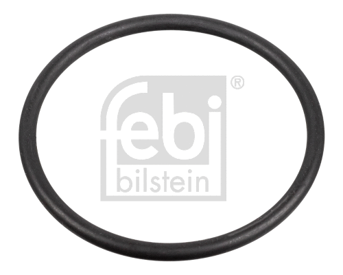 Gasket, fuel pump (172666)