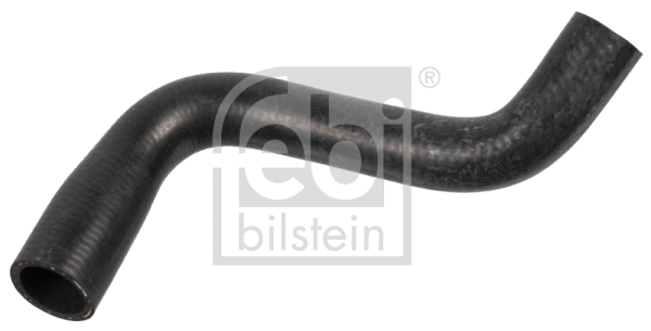 Radiator Hose (171208)