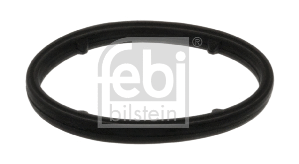 Gasket, oil cooler (101399)