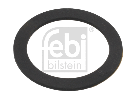 Rubber Ring (35969)