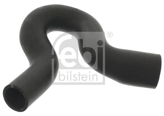 Radiator Hose (101210)