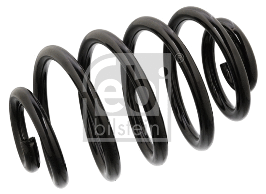Suspension Spring (104728)