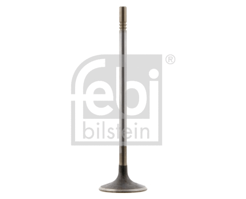 Intake Valve (28640)