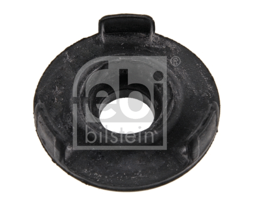 Mounting, differential (36485)