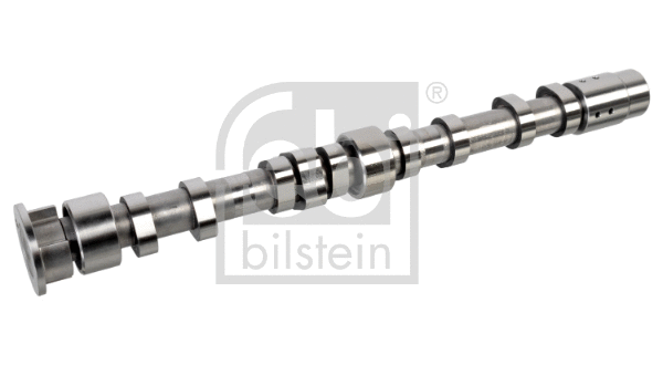 Camshaft (176005)