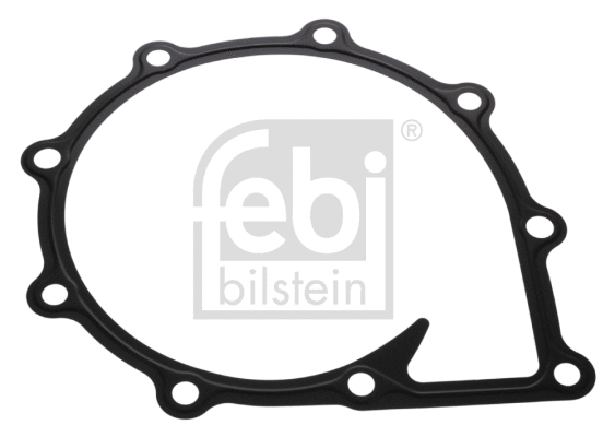 Gasket, water pump (48406)