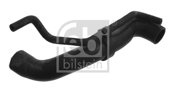 Radiator Hose (36782)