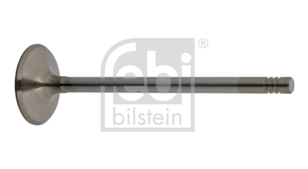 Intake Valve (17388)