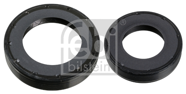 Shaft Seal Set, differential (173279)