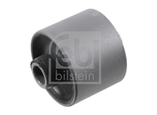 Bushing, axle beam (32475)