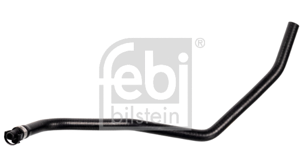 Radiator Hose (172963)
