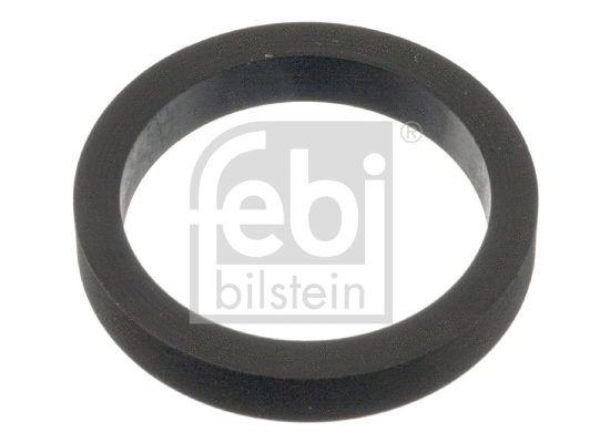 Gasket, timing case (48869)