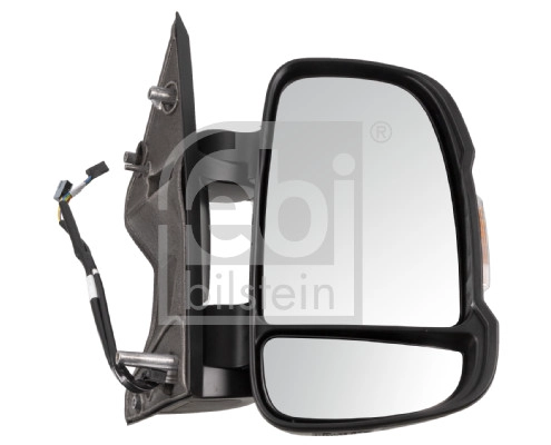 Exterior Mirror (184241)