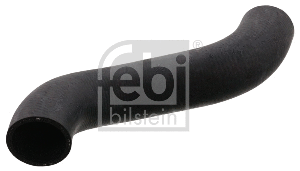 Radiator Hose (100308)