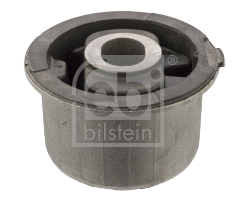 Bushing, axle beam (39691)