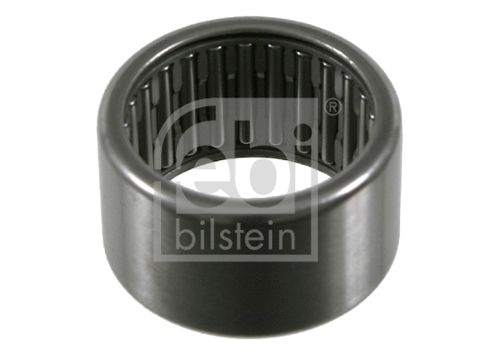 Bearing, steering knuckle (02172)