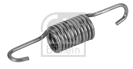 Tension Spring, tensioner pulley (timing belt) (19324)