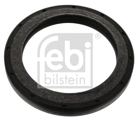 Shaft Seal, crankshaft (31497)