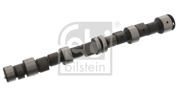 Camshaft (12278)
